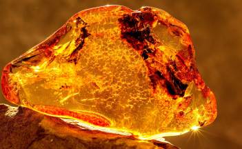 Blog_inkluzje_main_picture